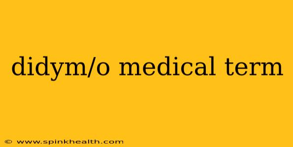 didym/o medical term