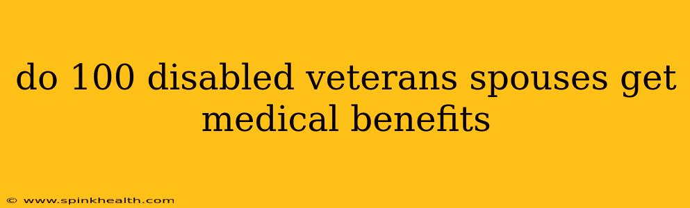do 100 disabled veterans spouses get medical benefits