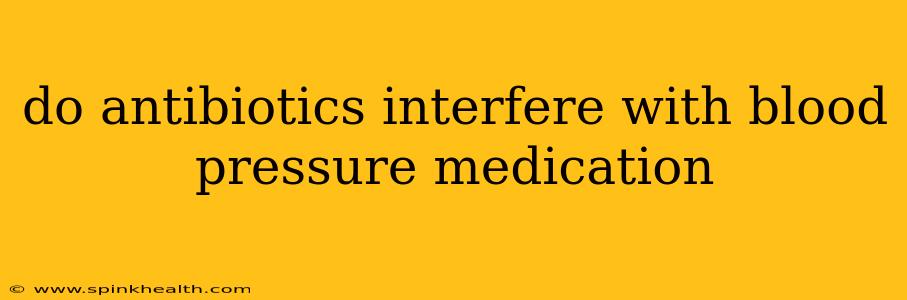 do antibiotics interfere with blood pressure medication