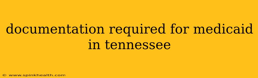 documentation required for medicaid in tennessee