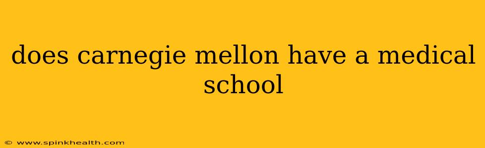 does carnegie mellon have a medical school