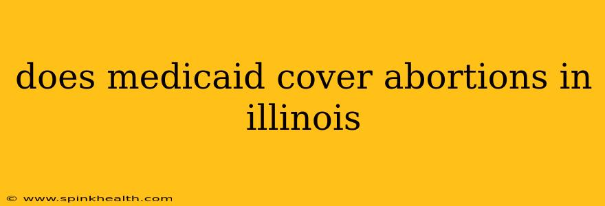 does medicaid cover abortions in illinois