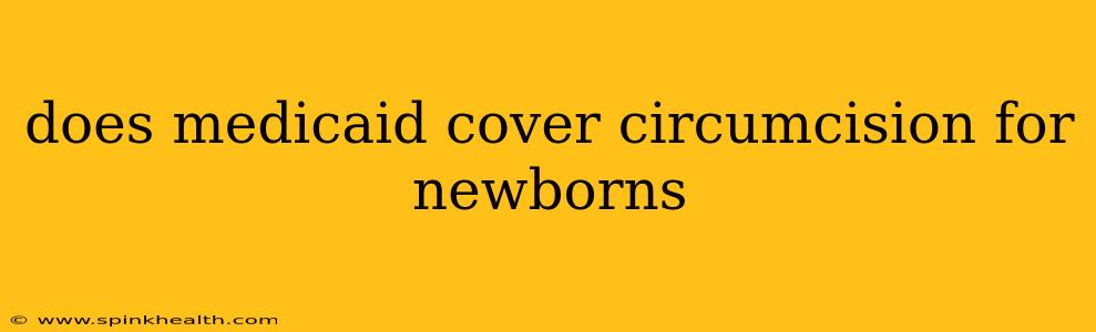 does medicaid cover circumcision for newborns