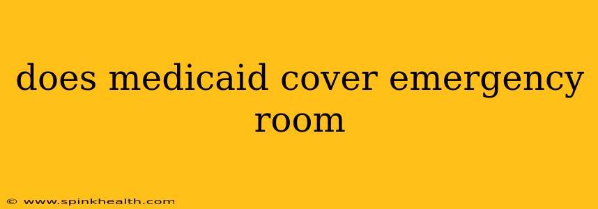 does medicaid cover emergency room