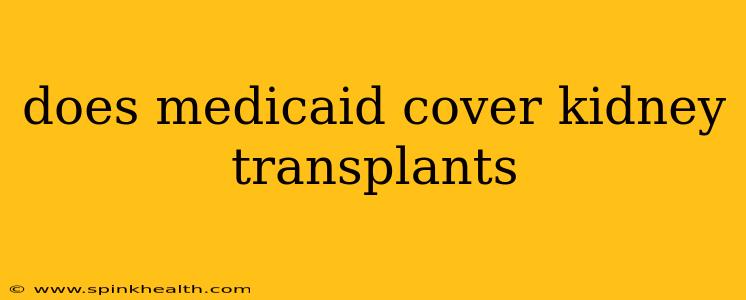 does medicaid cover kidney transplants