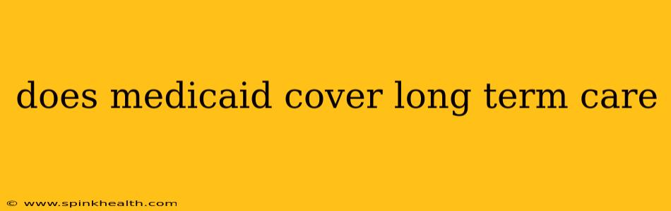 does medicaid cover long term care