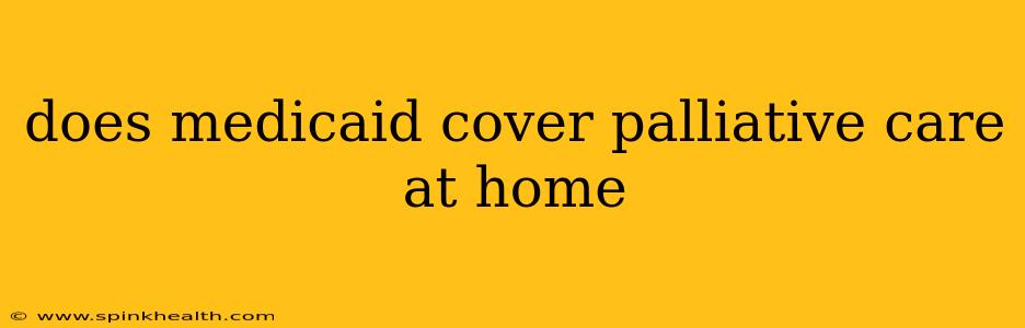 does medicaid cover palliative care at home