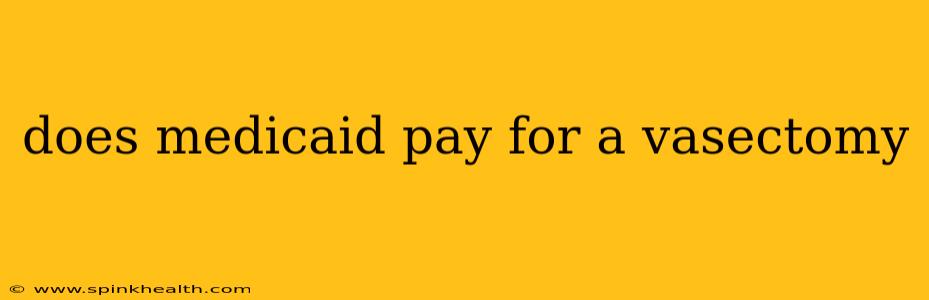does medicaid pay for a vasectomy