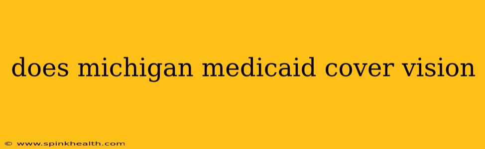 does michigan medicaid cover vision