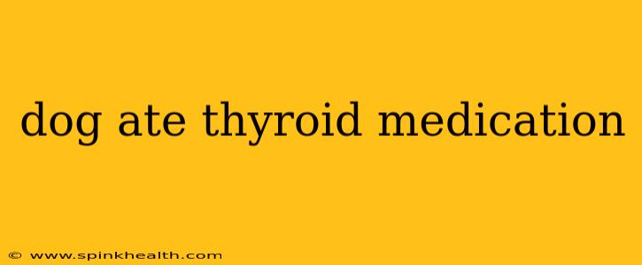 dog ate thyroid medication