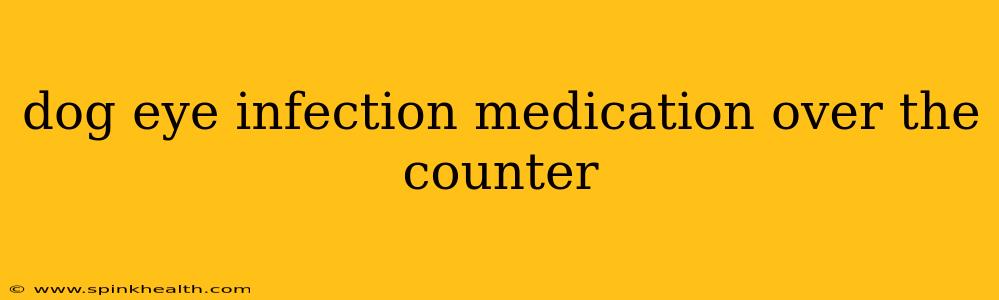 dog eye infection medication over the counter
