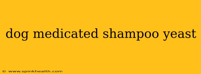 dog medicated shampoo yeast