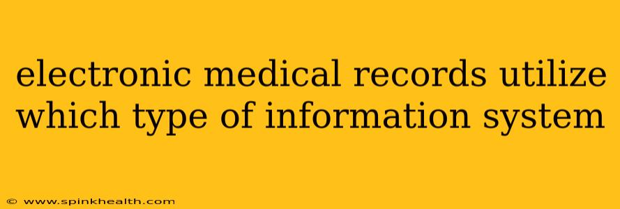 electronic medical records utilize which type of information system