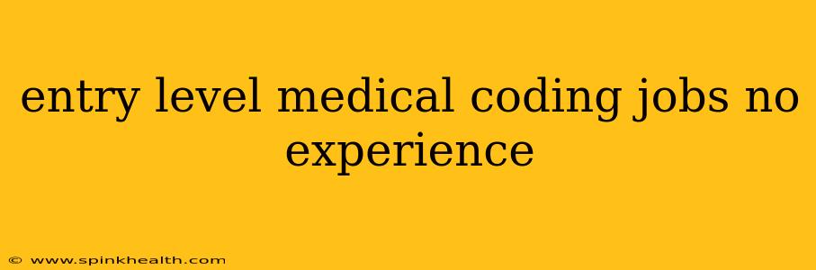 entry level medical coding jobs no experience