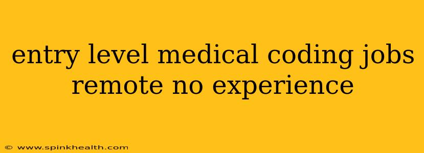 entry level medical coding jobs remote no experience