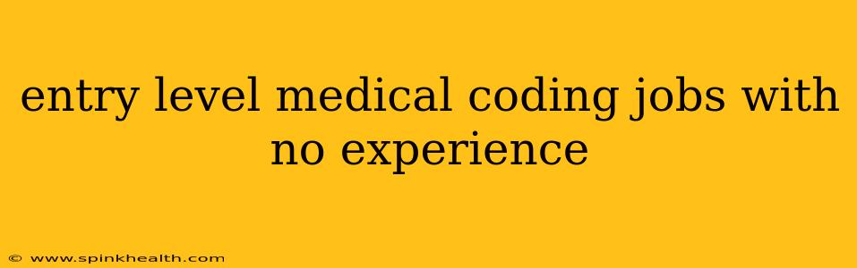 entry level medical coding jobs with no experience