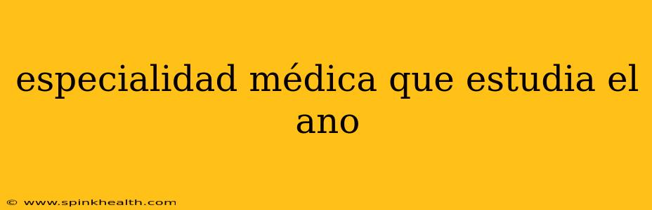 especialidad médica que estudia el ano