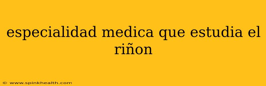 especialidad medica que estudia el riñon