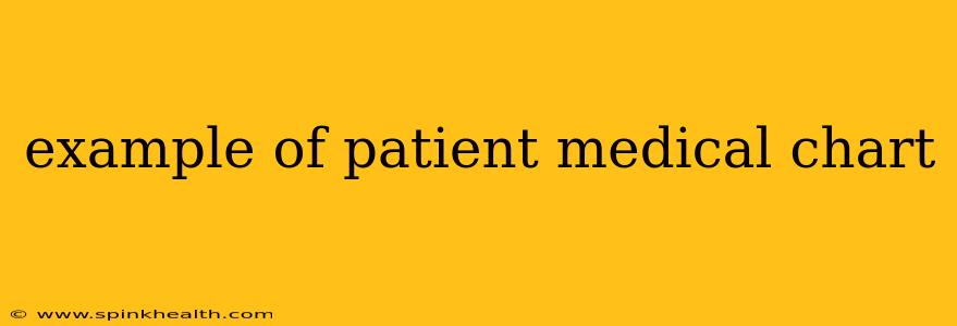 example of patient medical chart