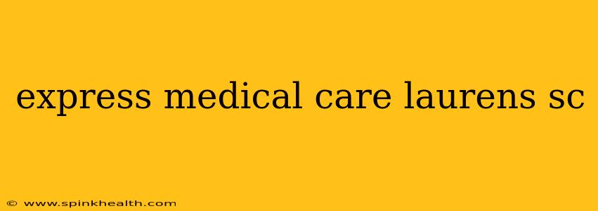 express medical care laurens sc