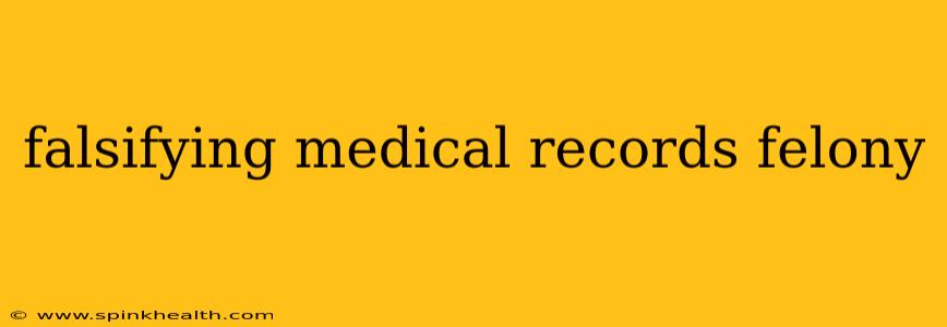 falsifying medical records felony