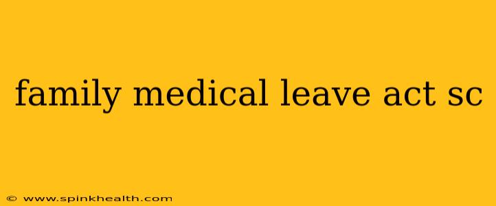family medical leave act sc