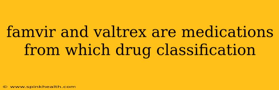famvir and valtrex are medications from which drug classification