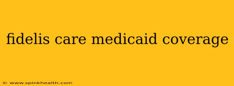 fidelis care medicaid coverage