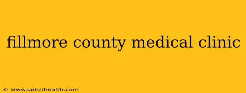 fillmore county medical clinic