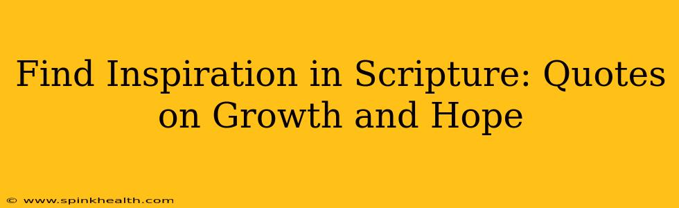 Find Inspiration in Scripture: Quotes on Growth and Hope