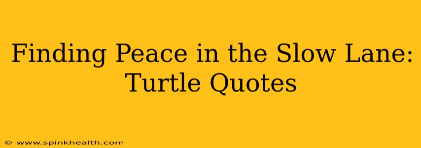 Finding Peace in the Slow Lane: Turtle Quotes