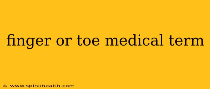 finger or toe medical term