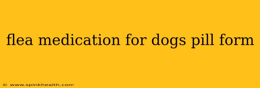flea medication for dogs pill form