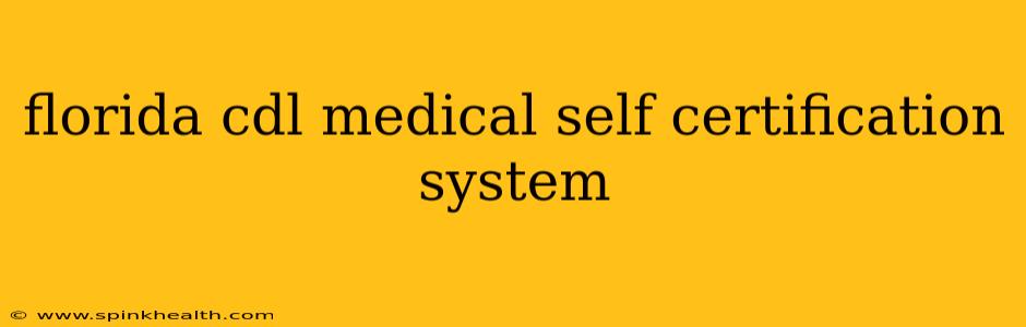 florida cdl medical self certification system