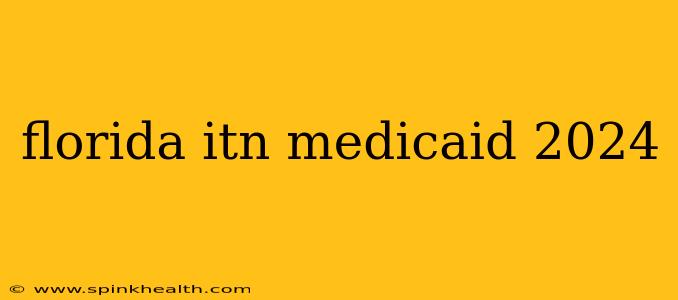 florida itn medicaid 2024