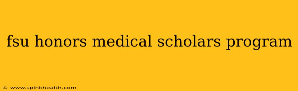 fsu honors medical scholars program