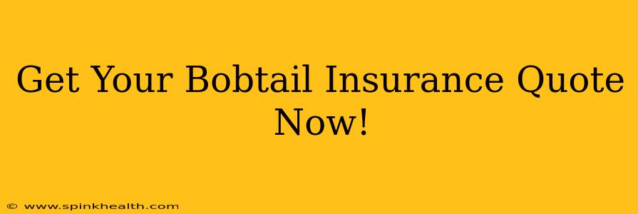 Get Your Bobtail Insurance Quote Now!