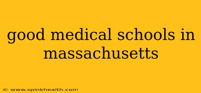 good medical schools in massachusetts
