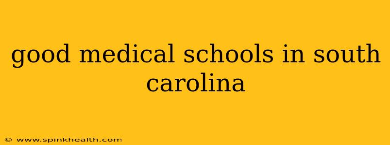 good medical schools in south carolina