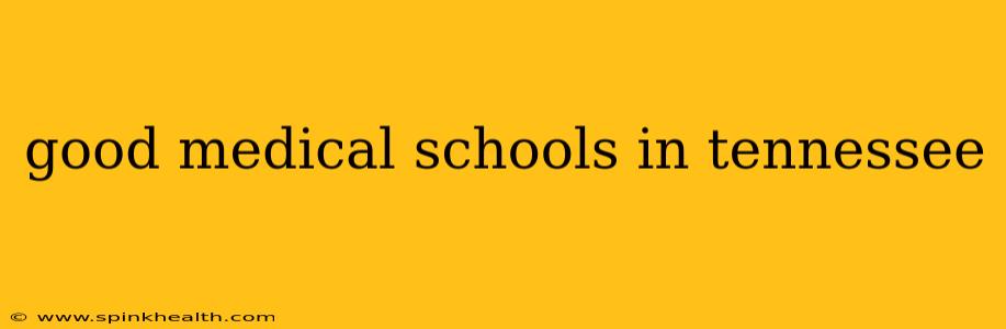 good medical schools in tennessee