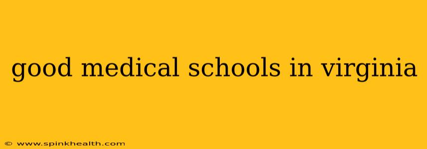 good medical schools in virginia