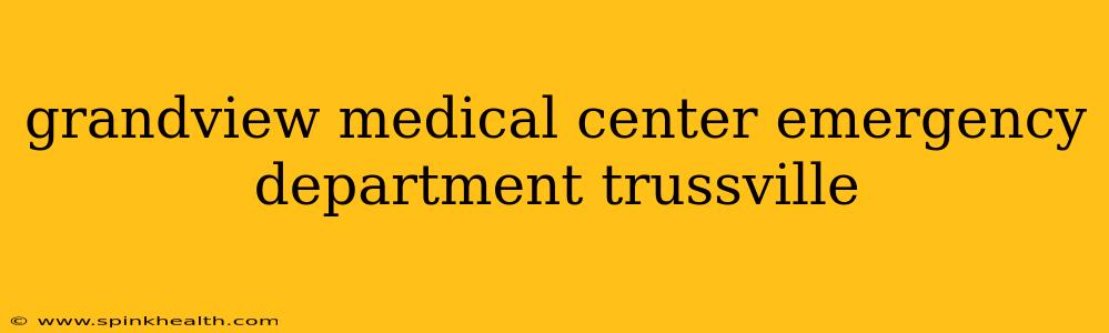 grandview medical center emergency department trussville