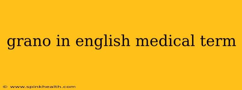 grano in english medical term