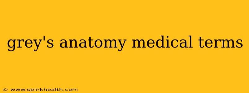 grey's anatomy medical terms