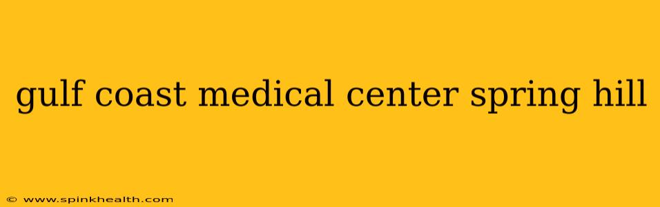 gulf coast medical center spring hill