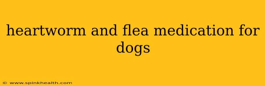 heartworm and flea medication for dogs