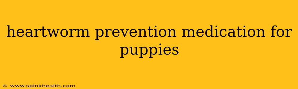 heartworm prevention medication for puppies