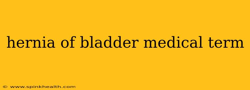 hernia of bladder medical term