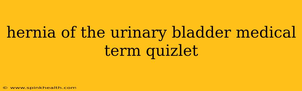 hernia of the urinary bladder medical term quizlet
