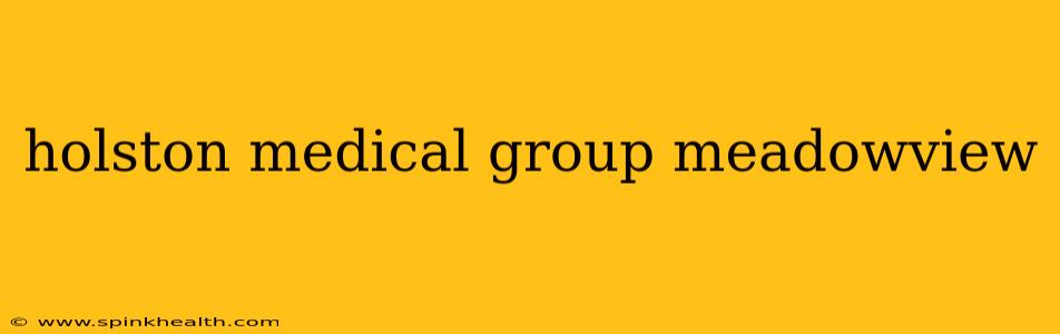 holston medical group meadowview